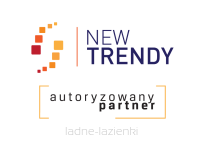 NEW TRENDY Kabina prysznicowa REFLEXA BLACK 90x90 lewa czarna  EXK-4928 (EXK-1336/EXK-0296) - 9