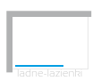 NEW TRENDY parawan nawannowy AVEXA GOLD BRUSHED 60 złote h150 6mm EXK-2005 - 5