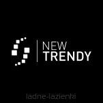 Drzwi prysznicowe SMART BLACK 130 czarne szkło 8mm dwuskrzydłowe New trendy EXK-4118 - 10